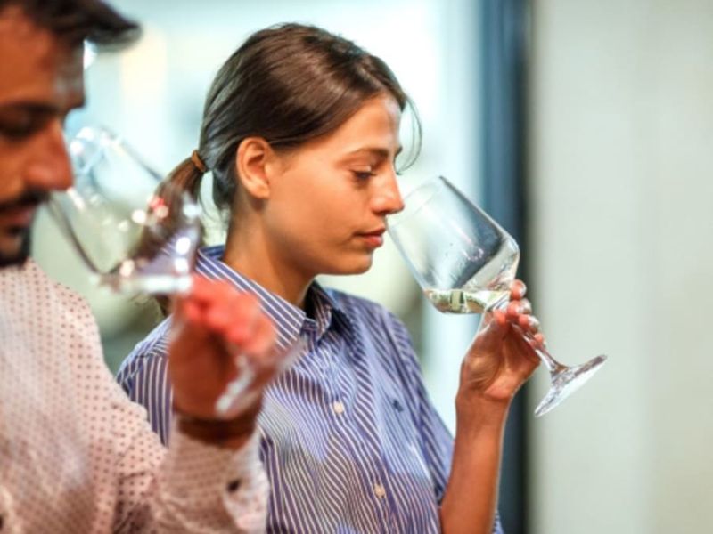 Billet Journée œnologie, repas & dégustation au domaine Cazes (66)