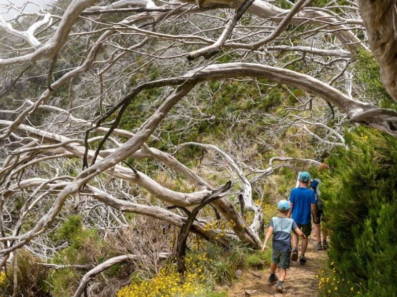 Billet Stage de survie famille sur 2 jours près de Saint-Brieuc (22)