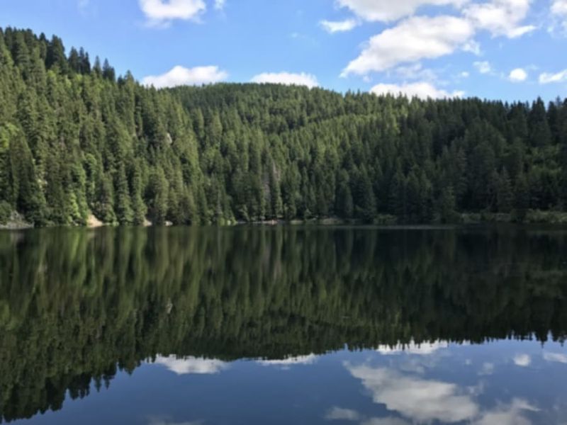 Billet Rallye Découverte des lacs vosgiens (68)