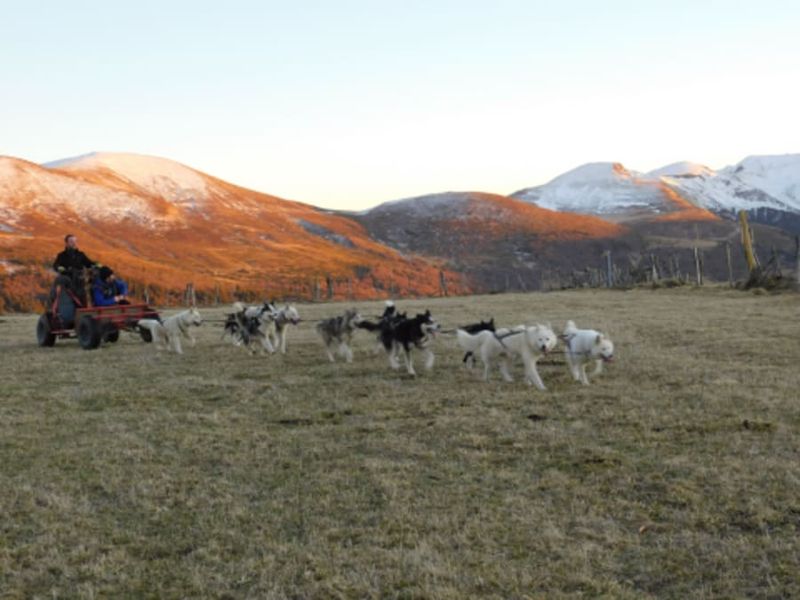 Billet Baptême Kart à chiens près de Sancy (63)