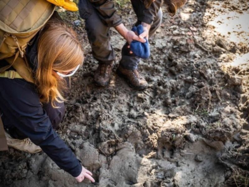 Billet Stage de Survie enfant & famille proche de Paris