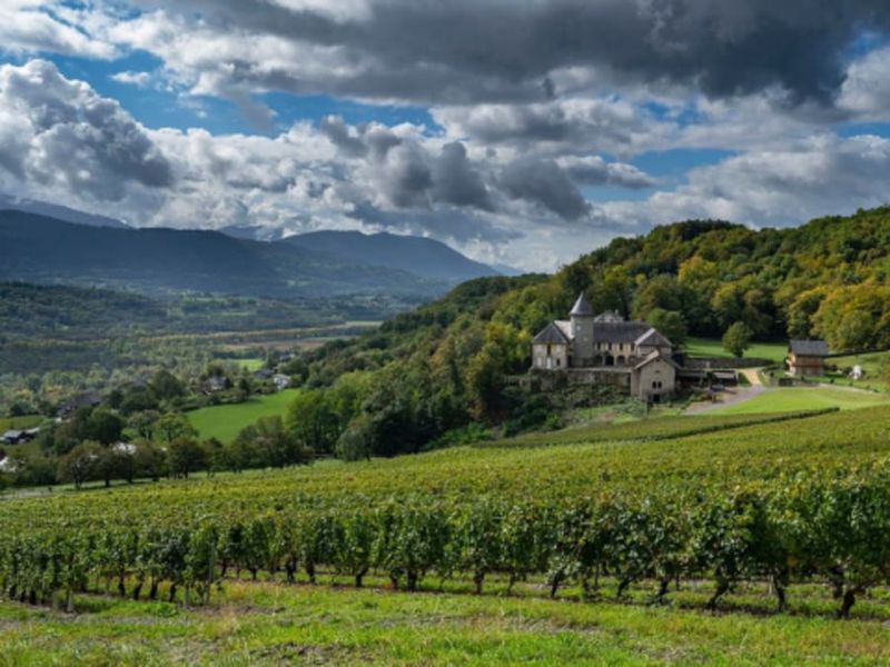 Billet Wine Tour Privatif autour des Vins de Savoie (73)