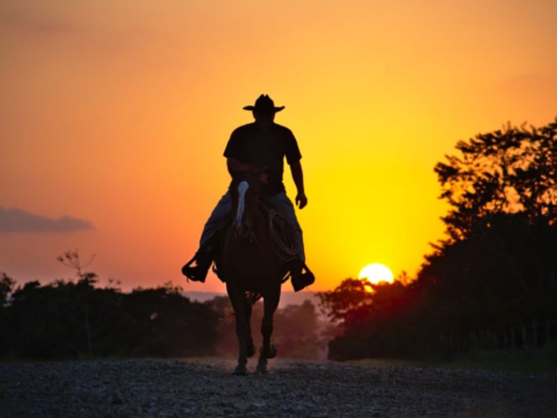 Billet Rando Apéro à cheval proche d'Annecy (74)
