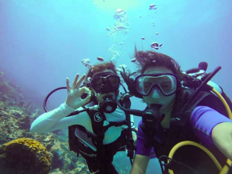 Billet Baptême de  plongée aux Anses-d'Arlet (972)