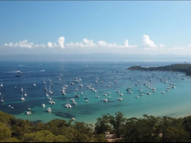 Billet Sortie en semi-rigide baleines et escale Porquerolles, de Bandol