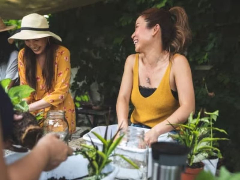 Billet Atelier terrarium à Tours (37)