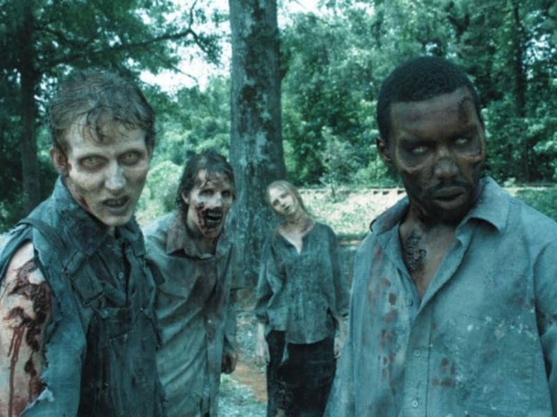 Billet Jeu de piste "The Walking Dead" à Fribourg