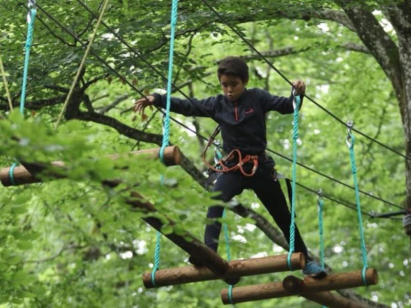 Billet Parcours Accrobranche à Curley proche de Dijon (21)