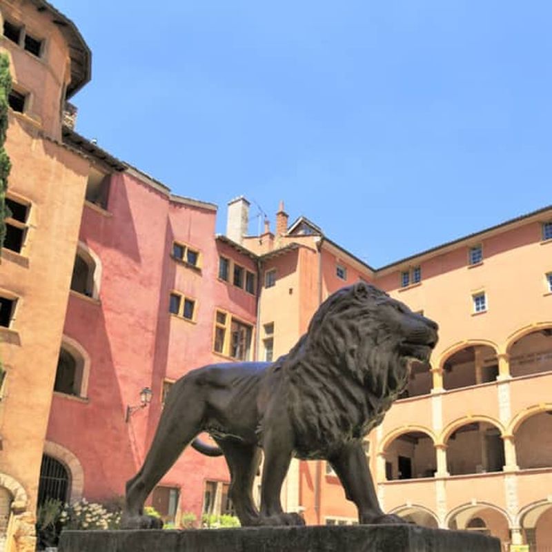 Billet Jeu de piste : Panique dans le Vieux-Lyon
