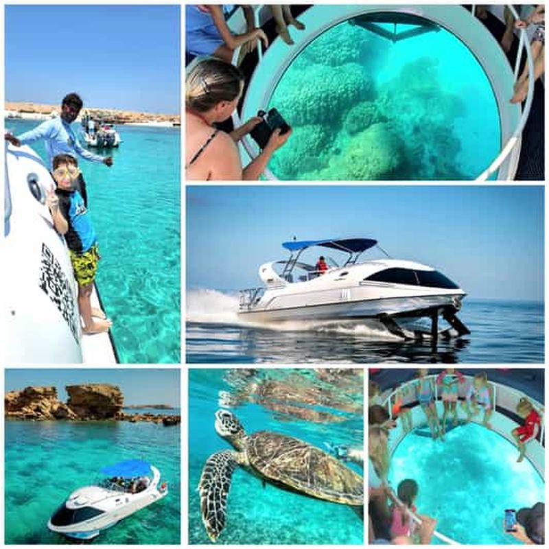 Billet Mascate : excursion en bateau à fond de verre et snorkeling à Daymaniat avec collations