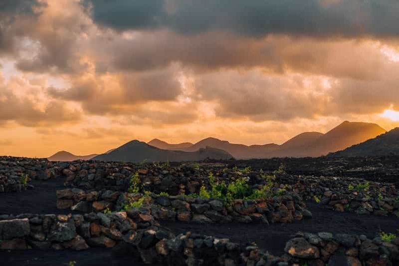 Billet Lanzarote : visite des vignobles au coucher du soleil avec dégustation de vins et chocolats