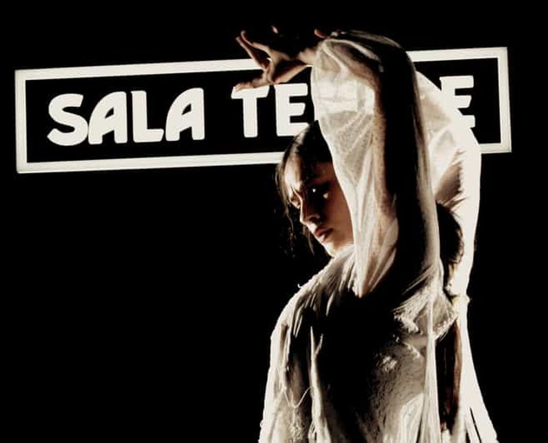 Billet Madrid : Spectacle de flamenco au Tablao Sala Temple avec boisson