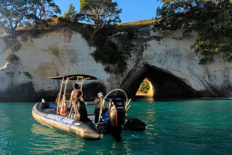Billet Réserve marine de Cathedral Cove : Excursion en bateau pour la plongée avec tuba