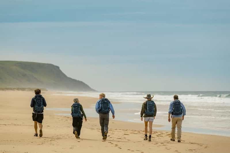 Billet Adélaïde : Visite à pied de 4 jours du Fleurieu Gourmet