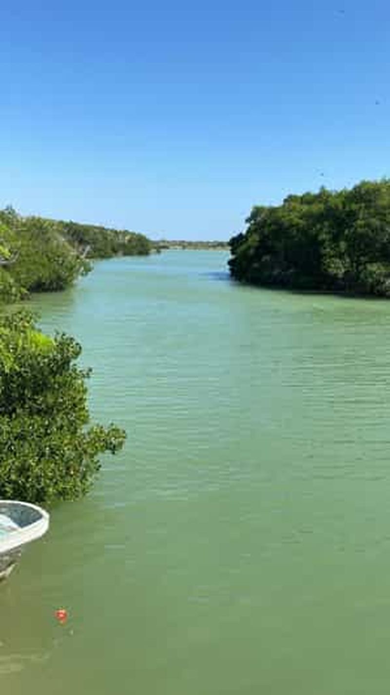 Billet Rio Lagartos et Coloradas : entrée pour un safari