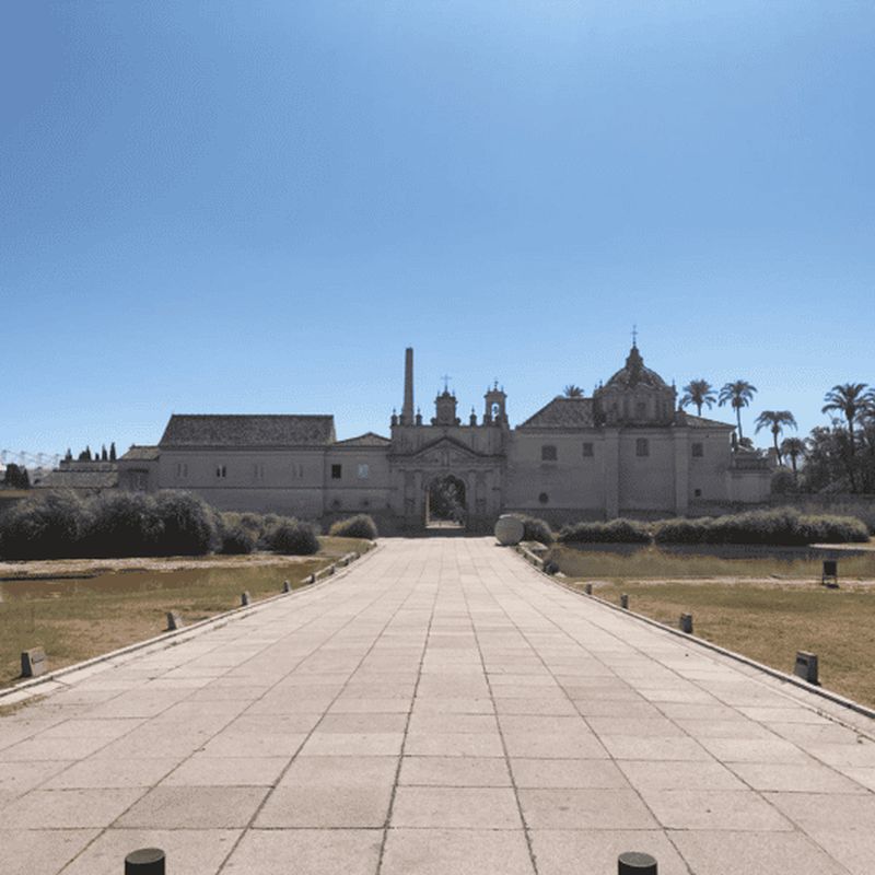 Billet Séville : visite à pied en petit groupe du monastère de la Cartuja