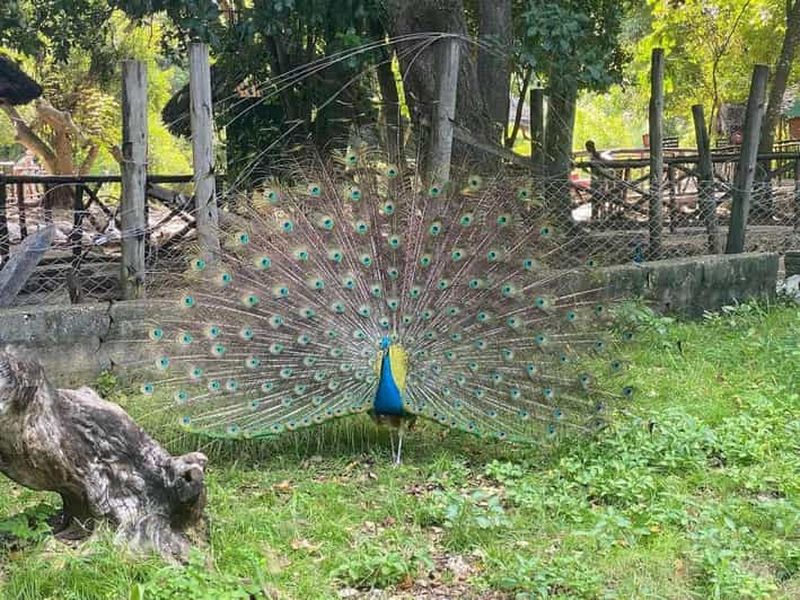 Billet Zanzibar : visite à pied de Stone Town et excursion à Prison Island
