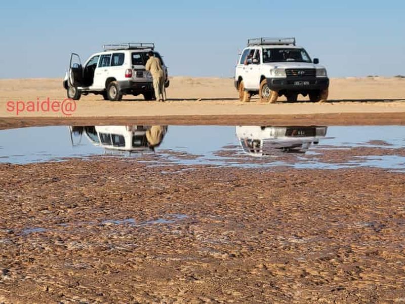 Billet De Tozeur : circuit de 2 jours dans le Sahara avec nuit sous tente et randonnée à dos de chameau