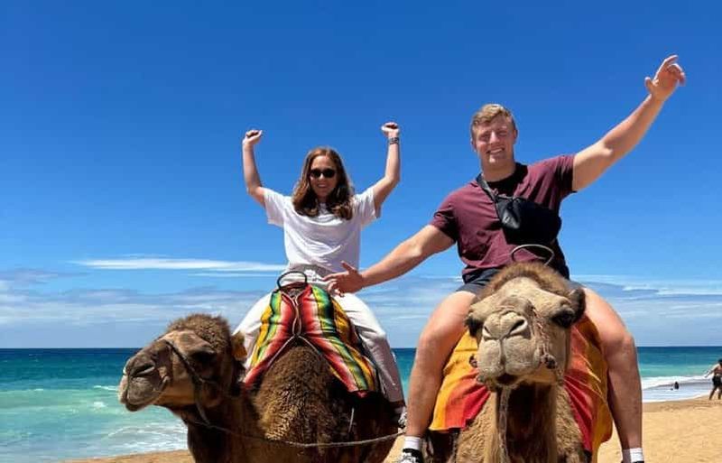 Billet Tanger : cap Spartel, grottes d'Hercule et balade à dos de chameau