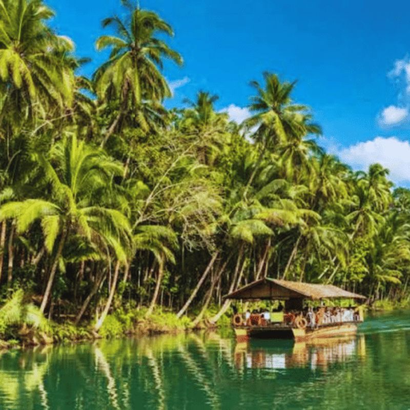 Billet Bohol : Visite des collines de chocolat avec croisière sur la rivière Loboc et déjeuner