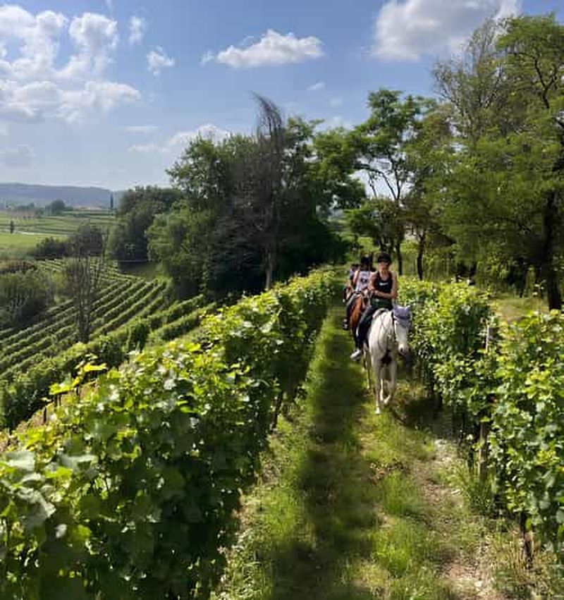 Billet Franciacorta : balade à cheval à travers les vignobles et les villages