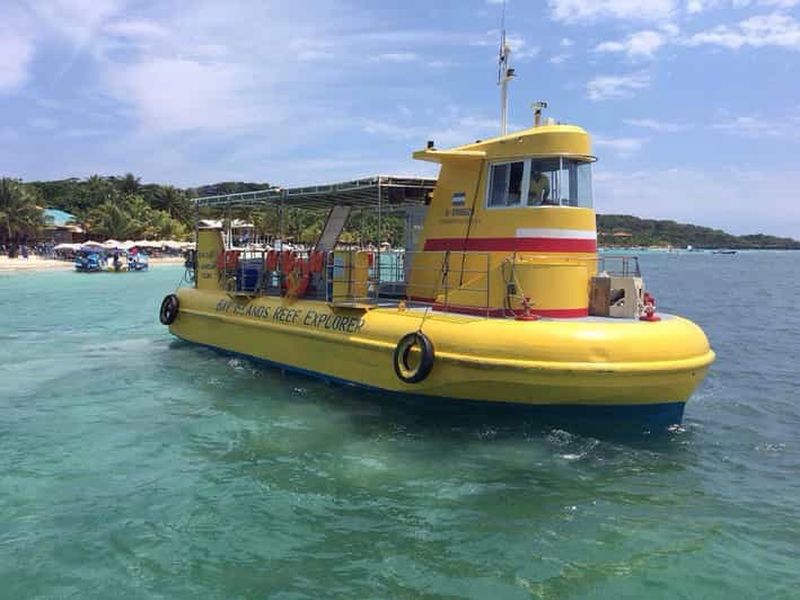 Billet Roatan : Parc des paresseux, balade à cheval et excursion en bateau à fond de verre