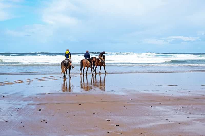 Billet Mykonos : promenade à cheval vers la plage de Fokos et les terres agricoles