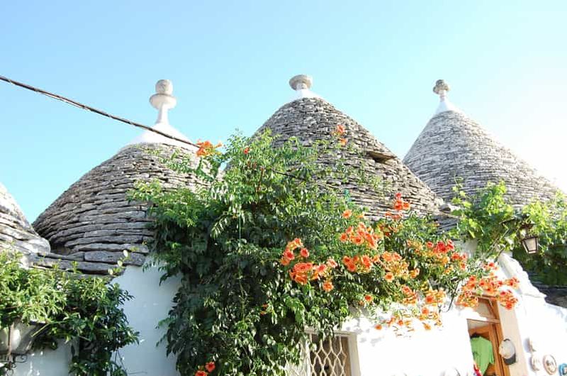 Billet Alberobello : visite à pied de l'histoire