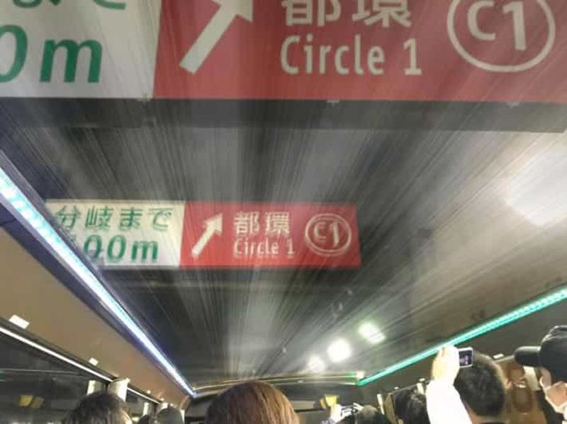 Billet Excursion palpitante en bus à toit ouvert sur l'autoroute de Tokyo