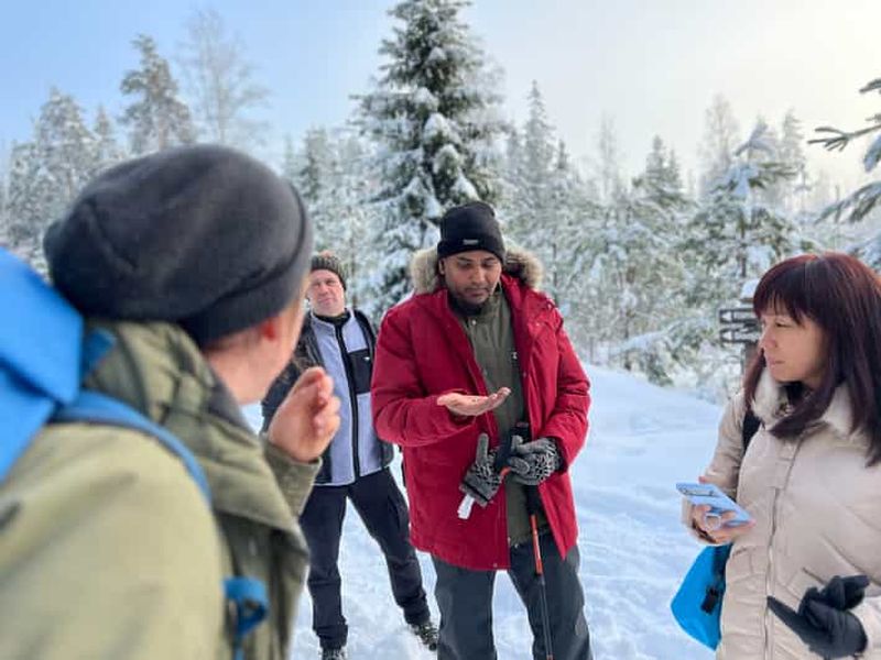 Billet Helsinki : Randonnée dans le parc national de Liesjärvi au pays des merveilles de l'hiver