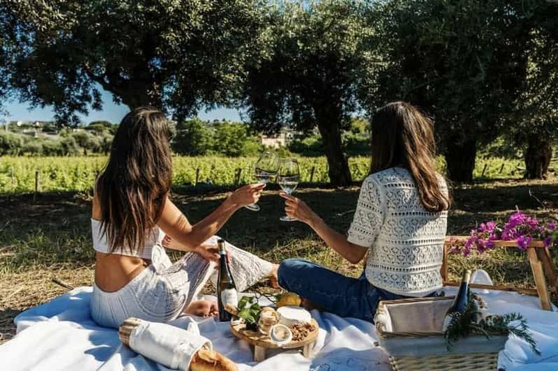 Billet Ischia : visite panoramique, dégustations, vignobles et prise en charge