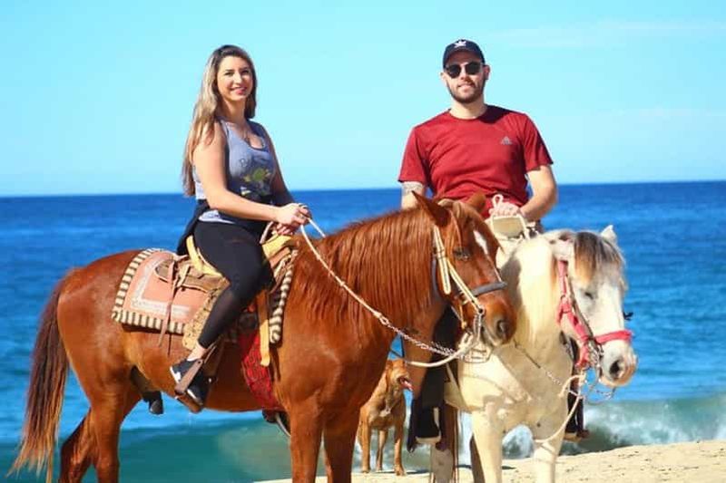 Billet Cabo San Lucas : Combo VTT dans le désert et randonnée à cheval sur la plage