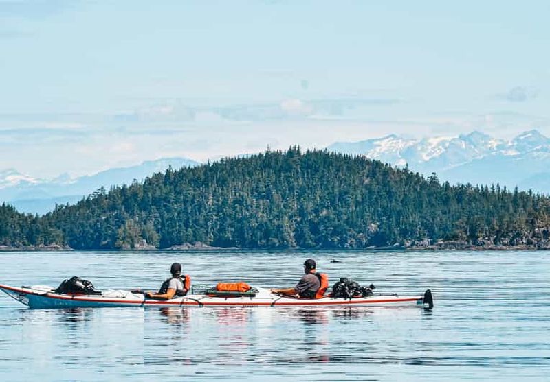 Billet Telegraph Cove : excursion en kayak de 2 heures, de jour ou de nuit
