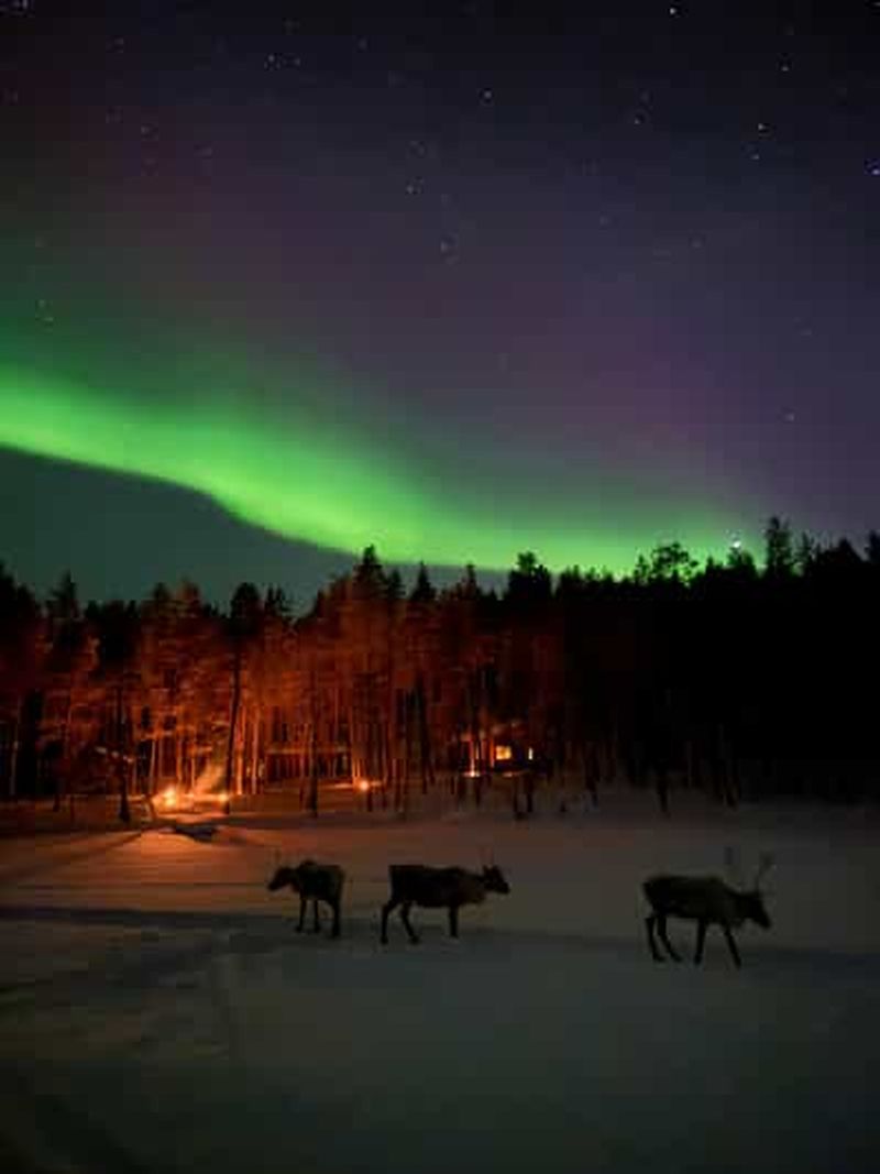 Billet Ivalo : aventure nocturne à cheval vers un chalet sauvage