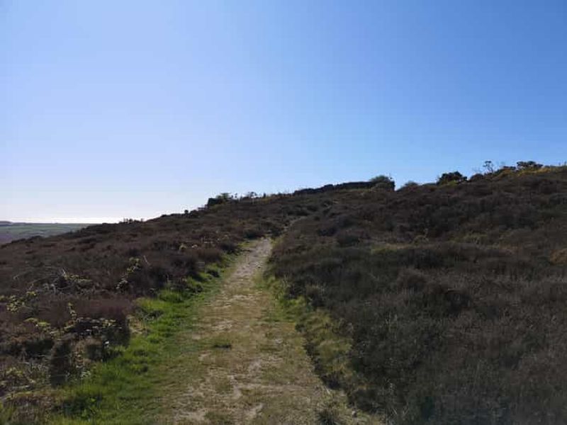 Billet South Stack : visite à pied de la côte avec café et histoire