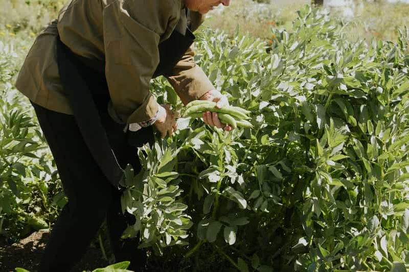 Billet Noto : Tour d'horizon Cuisine de la ferme à la fourchette