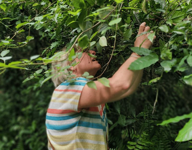 Billet Zanzibar : visite à pied d'une ferme d'épices avec déjeuner local