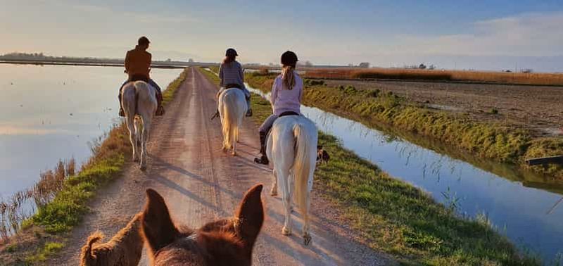 Billet Parc national du Delta de l'Ebre : Visite guidée à cheval