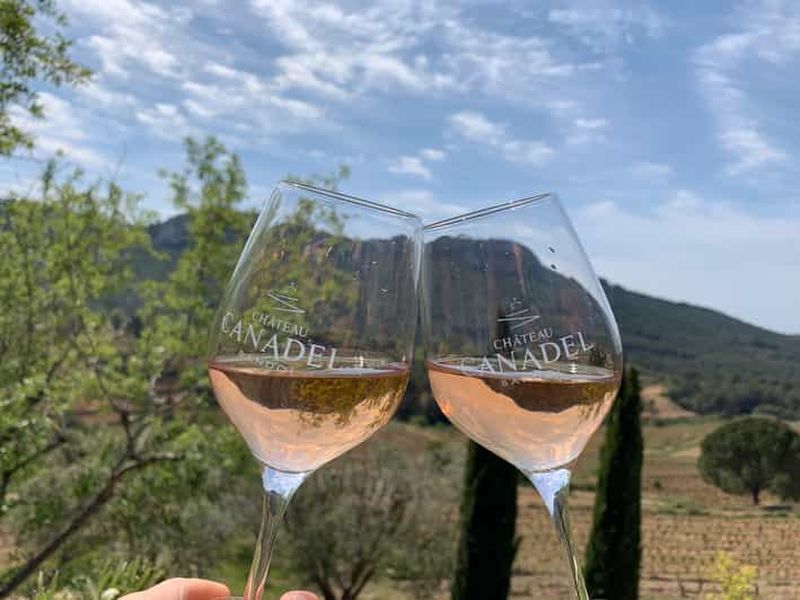Billet Bandol : visite d'un vignoble familial et dégustation