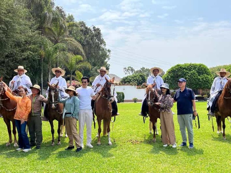 Billet Depuis Lima, spectacle de chevaux péruviens de Paso avec déjeuner et danse typique
