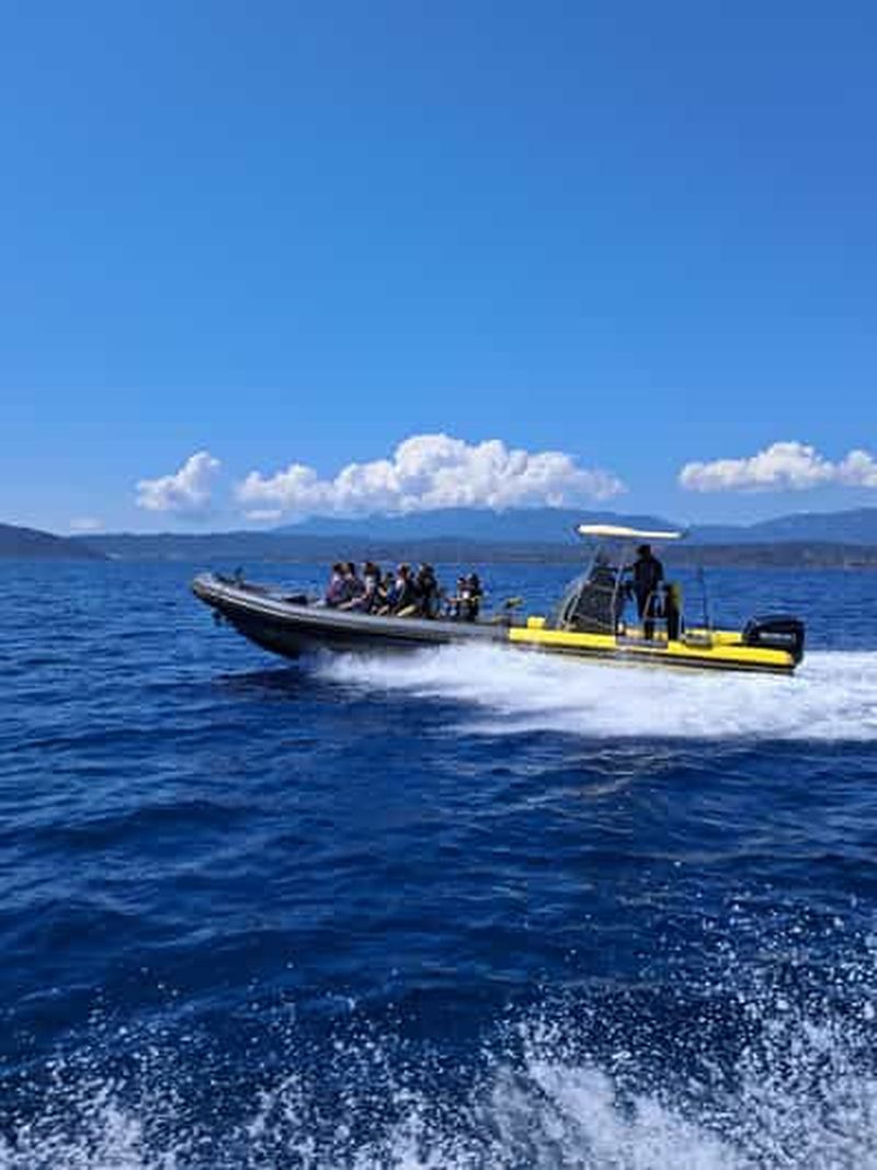 Billet Santa-Giulia : Demi Journée en mer aux Iles Lavezzi