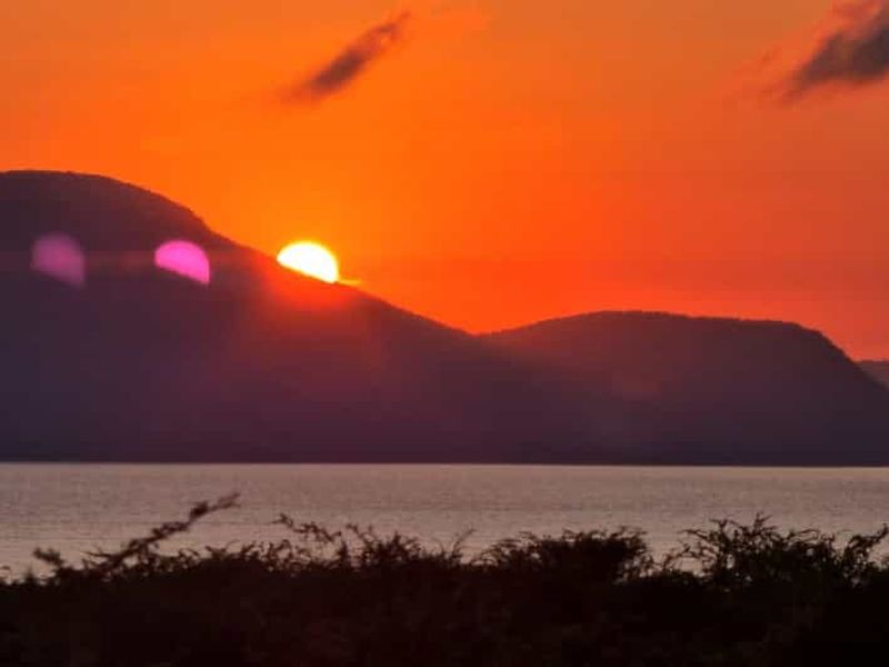 Billet Visite du parc national des éléphants d'Addo avec croisière commentée
