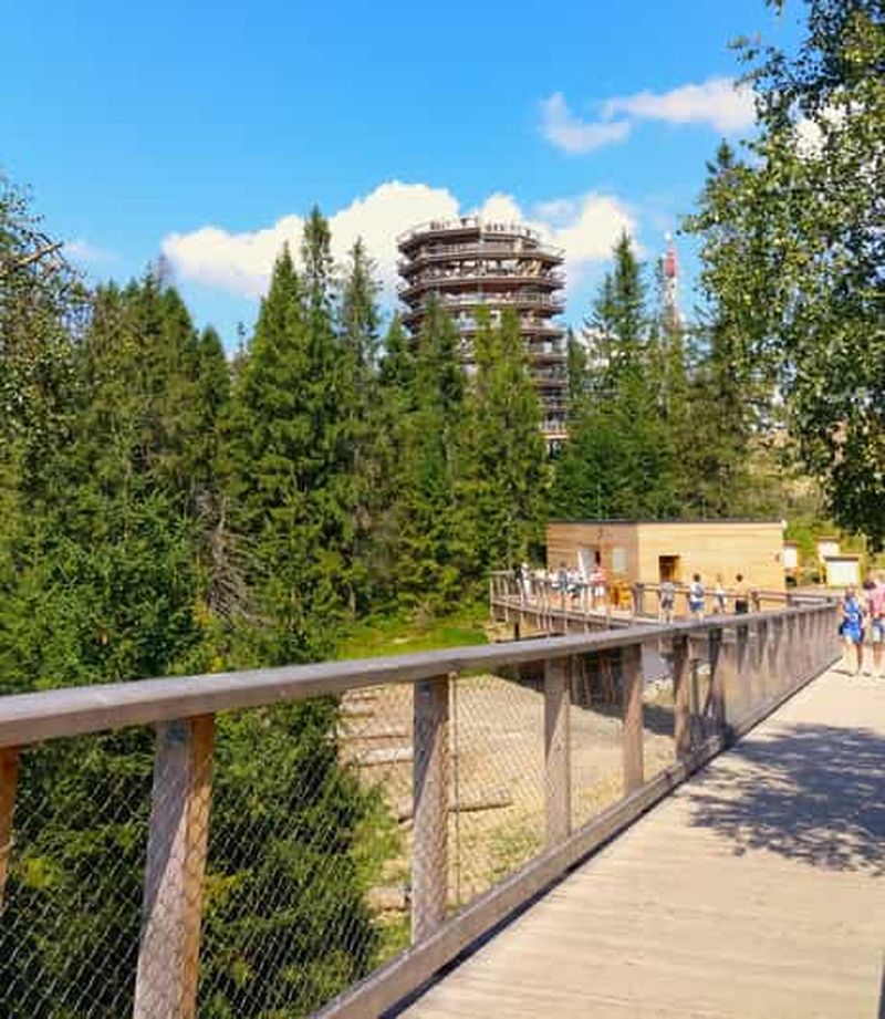 Billet Depuis Cracovie : Marche dans les arbres en Slovaquie et visite de Zakopane
