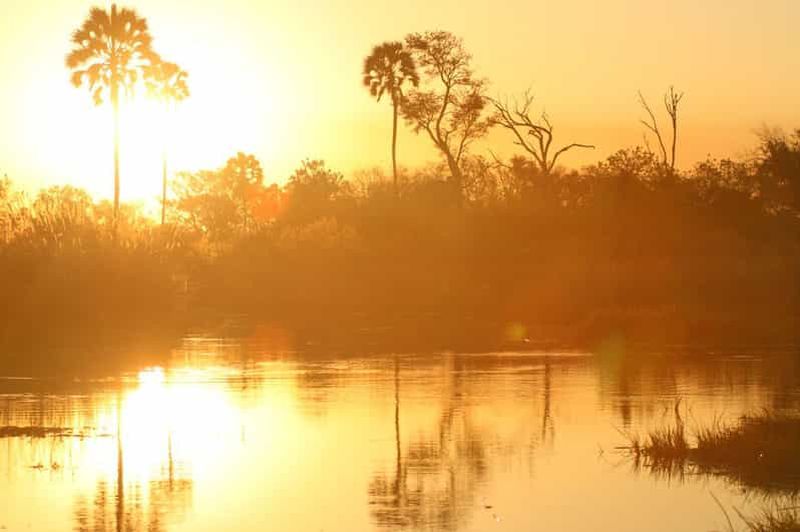 Billet Excursion d'une journée dans le delta de l'Okavango
