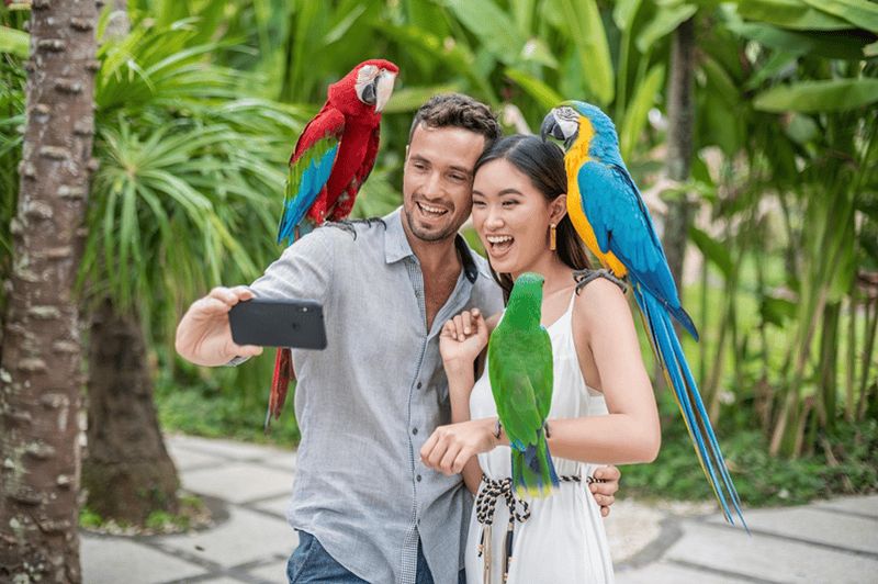 Billet Parc ornithologique de Bali : billet 1 jour