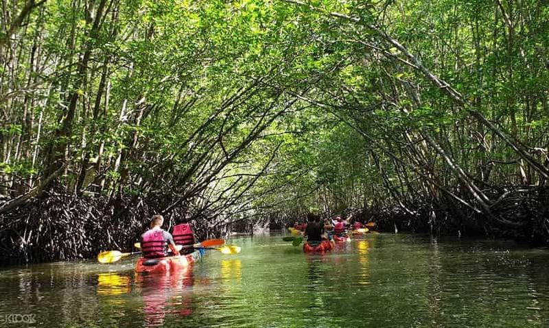 Billet Ko Lanta : Visite d'une demi-journée en kayak dans la mangrove avec déjeuner
