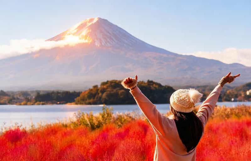 Billet Excursion d'une journée aux 5 principaux sites du Mont Fuji : Parc Arakurayama, Oshino Hakkai