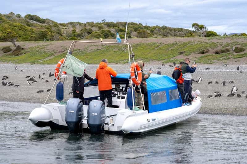 Billet Almanza, coucher de soleil et pingouins
