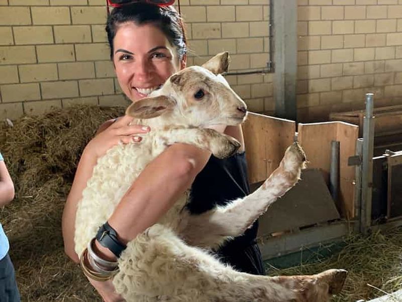 Billet Au départ de Bilbao : Saint-Sébastien et visite d'une ferme de fromages basques