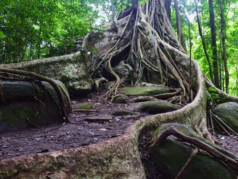 Billet The Wilds : trek et observation des étoiles à Khao Yai, circuit de 2 jours